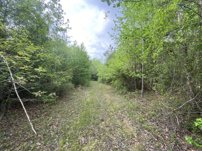 Marion County Hunting Land with Timber Potential - image 20