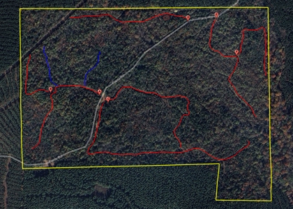 Marion County Hunting Land with Timber Potential - image 14