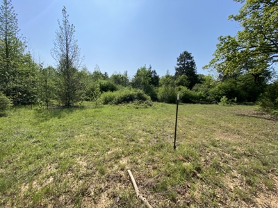 Marion County Hunting Land with Timber Potential - image 15