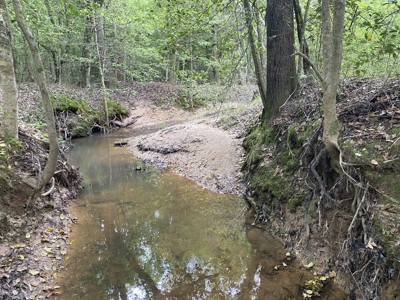 Marion County Hunting Land with Timber Potential - image 18