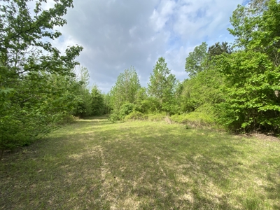 Marion County Hunting Land with Timber Potential - image 22