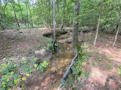 Marion County Hunting Land with Timber Potential - image 27