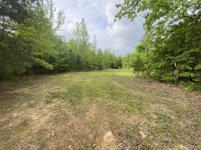 Marion County Hunting Land with Timber Potential - image 23