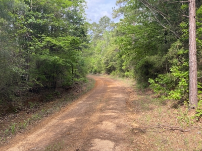 Marion County Hunting Land with Timber Potential - image 25