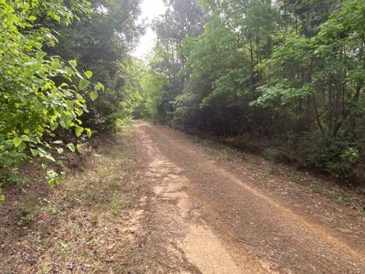 Marion County Hunting Land with Timber Potential - image 19