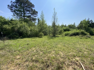 Marion County Hunting Land with Timber Potential - image 21