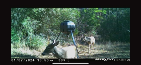 Marion County Hunting Land with Timber Potential - image 46