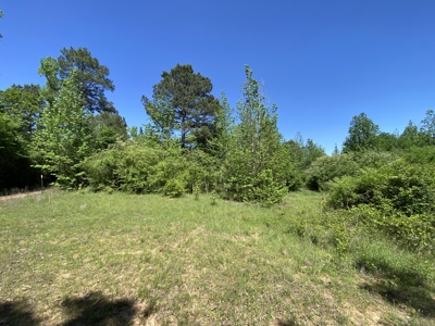 Marion County Hunting Land with Timber Potential - image 36