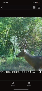 Marion County Hunting Land with Timber Potential - image 44