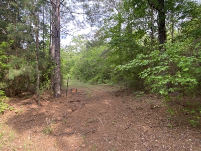 Marion County Hunting Land with Timber Potential - image 9