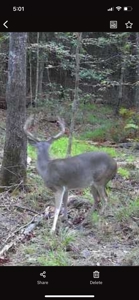 Marion County Hunting Land with Timber Potential - image 43
