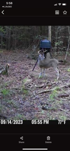 Marion County Hunting Land with Timber Potential - image 41
