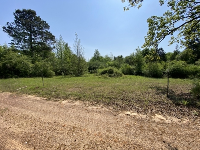 Marion County Hunting Land with Timber Potential - image 16