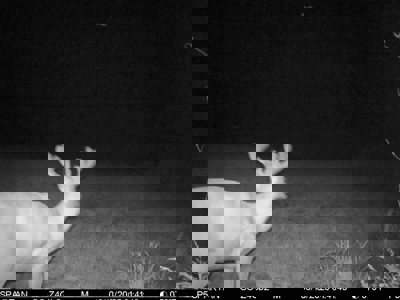 160 Acres with Home & 5 Acre Lake - image 30