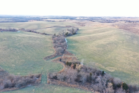 160 Acres with Home & 5 Acre Lake - image 6