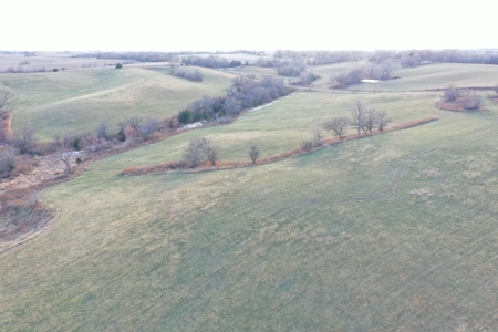 160 Acres with Home & 5 Acre Lake - image 8