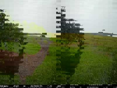 160 Acres with Home & 5 Acre Lake - image 28