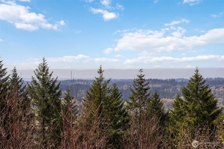 Spacious Modern Home on 4.85 Acres of Scenic Amboy Countryside - image 28