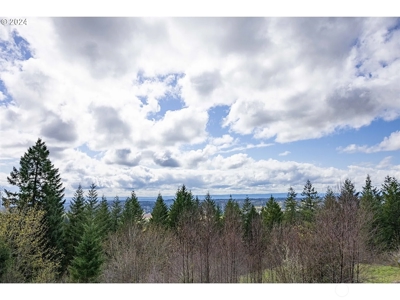 Spacious Modern Home on 4.85 Acres of Scenic Amboy Countryside - image 30