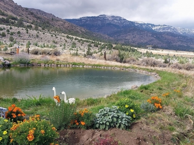 Country Home For Sale in Cedarville, CA - image 33