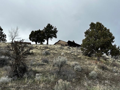 Country Home For Sale in Cedarville, CA - image 31