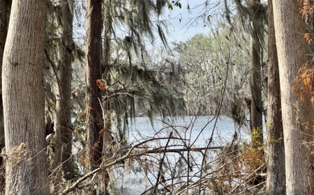 Lot For Sale in Hamilton County, FL - image 11