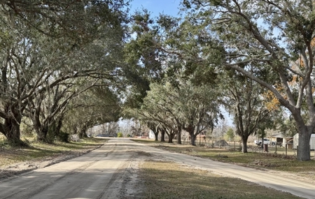 Lot For Sale in Hamilton County, FL - image 9