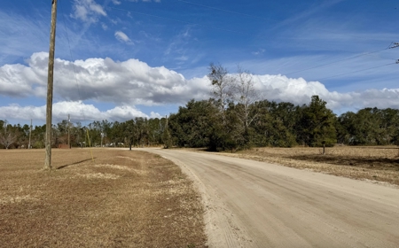 Lot For Sale in Hamilton County, FL - image 7
