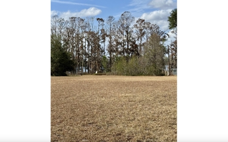 Lot For Sale in Hamilton County, FL - image 1