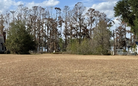Lot For Sale in Hamilton County, FL - image 4