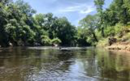 Land For Sale Hamilton County, FL! - image 3