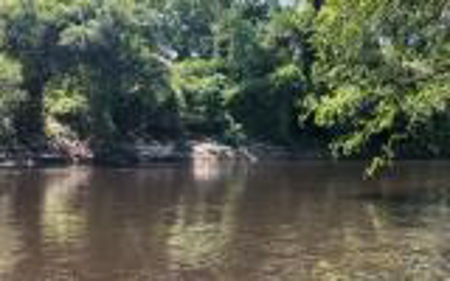 Land For Sale Hamilton County, FL! - image 6