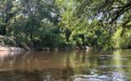 Land For Sale Hamilton County, FL! - image 5