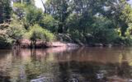 Land For Sale Hamilton County, FL! - image 8