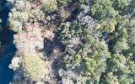 Land For Sale Hamilton County, FL! - image 10