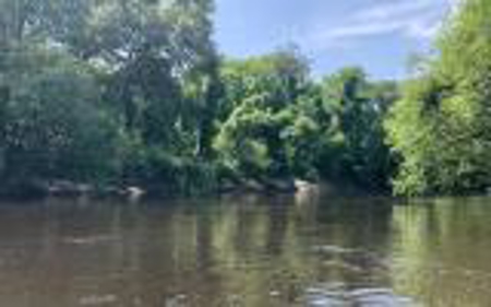 Land For Sale Hamilton County, FL! - image 7