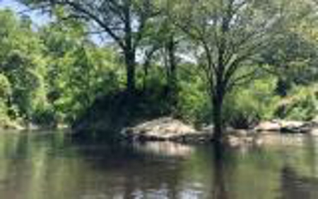 Land For Sale Hamilton County, FL! - image 4