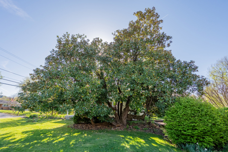 Home in Town for Sale in Pembroke VA - image 48
