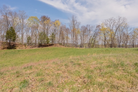 Building Lot for Sale on Claytor Lake - image 42
