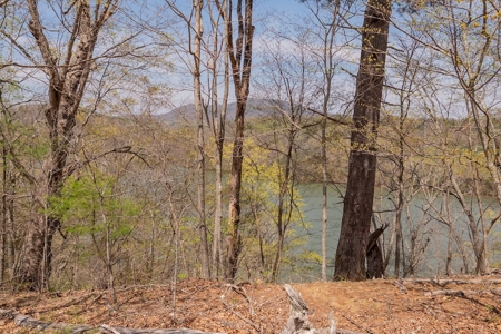 Building Lot for Sale on Claytor Lake - image 40