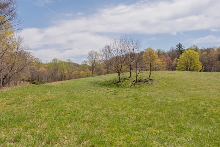 Building Lot for Sale on Claytor Lake - image 41