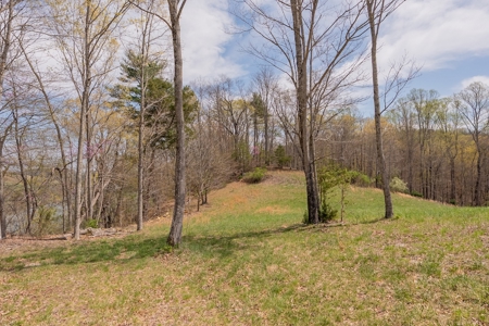 Building Lot for Sale on Claytor Lake - image 30