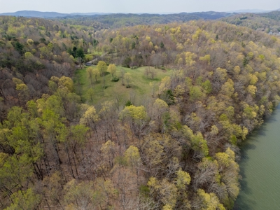 Building Lot for Sale on Claytor Lake - image 14
