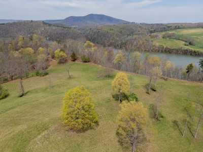 Building Lot for Sale on Claytor Lake - image 16