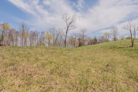 Building Lot for Sale on Claytor Lake - image 44