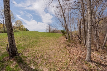 Building Lot for Sale on Claytor Lake - image 32