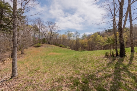 Building Lot for Sale on Claytor Lake - image 31