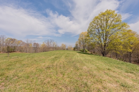 Building Lot for Sale on Claytor Lake - image 22