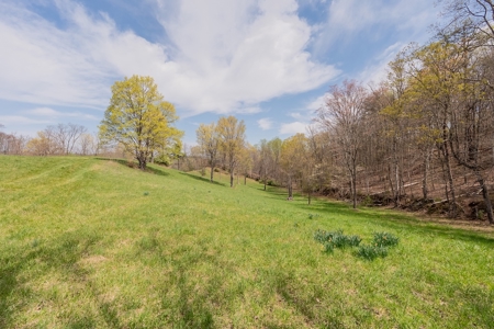 Building Lot for Sale on Claytor Lake - image 20