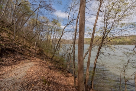 Building Lot for Sale on Claytor Lake - image 37
